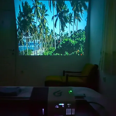 Tajna Bačka Palanka